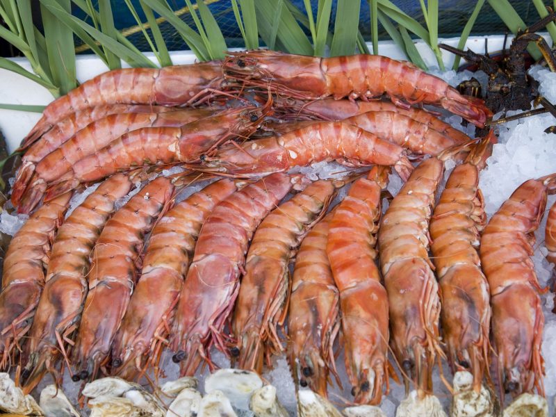 frozen-shrimps